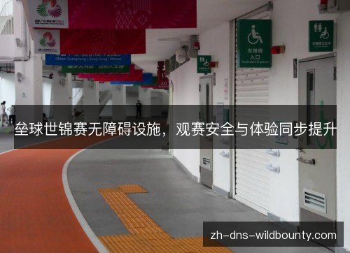 垒球世锦赛无障碍设施，观赛安全与体验同步提升